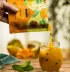 Easy Drinks Frutas Tropicais