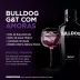 Gin Bulldog 750 ml