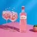 Gin Gordons Pink 700 ml