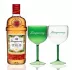 Gin Tanqueray Sevilla 700 ml + 2 Taças